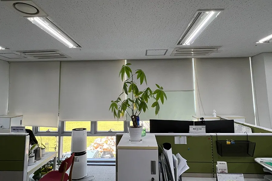 롤스크린이 설치된 사무동 창가 근무 공간